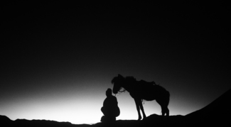 Man & Horse