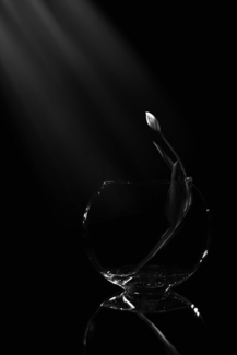 Yearning