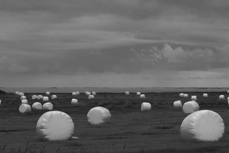 Iceland Round Bales