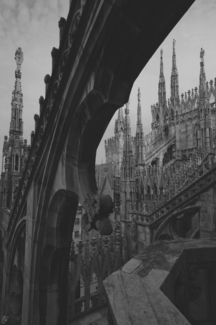 Between the gotic capitals