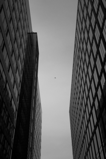 Sky View