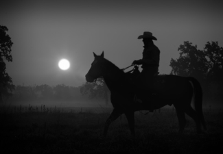 Moonshine
