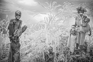 In The Cornfield