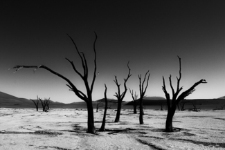 Deadvlei in Namibia