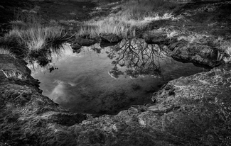 Rock Pool