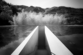 Untitled (1)
