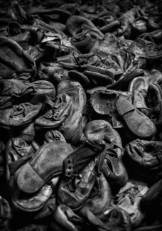 The Shoes