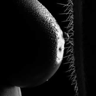 Pain