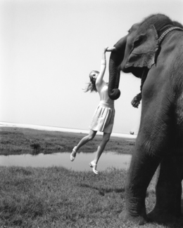 One More Time and the Elephant is Going to be Angry