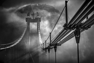 Misty Morning