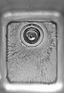 Soil in my Sink