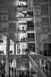 Moment in MoMA