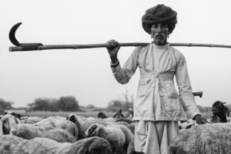Rabari 