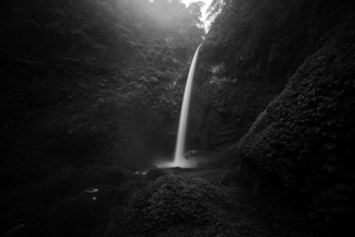 The "Fall"