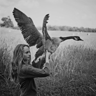 The Magic Goose