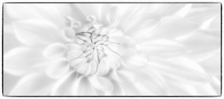 Silken