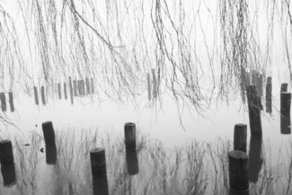 winter fog