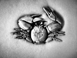 crab 1