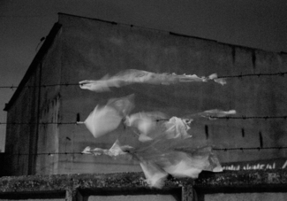Untitled (2)
