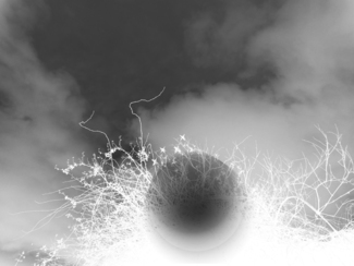 Negative Dreaming