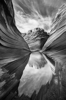 The Wave (1)