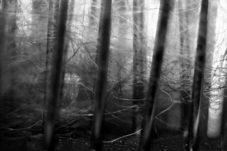 Mist of Intrigue