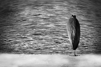 loneliness