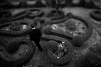 Mazed