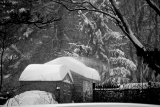Snowy Bliss