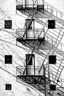 Shadow Escape