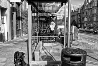 Edinburgh Bus Stop
