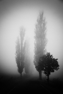 Nebel