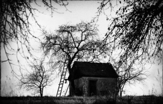 Haus