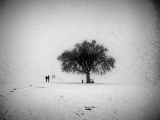 Winter (1)