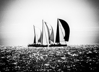 Race