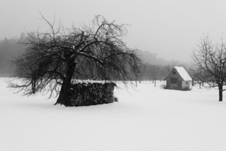 Snow