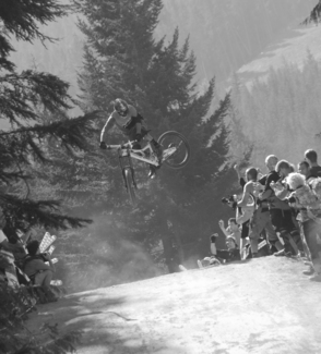 Taking Flight