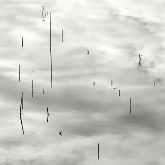 Water and Sky
