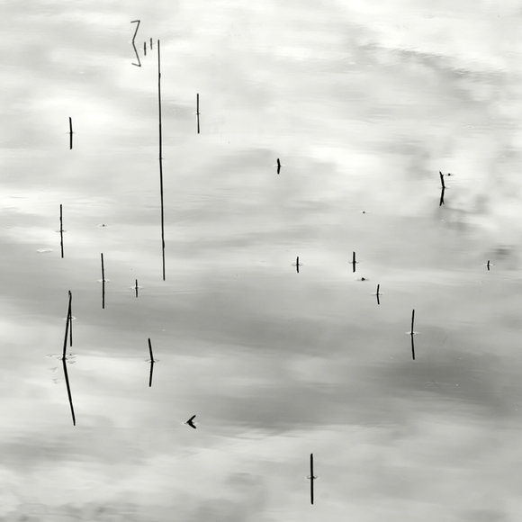 Water and Sky