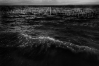 Seaweed Poles