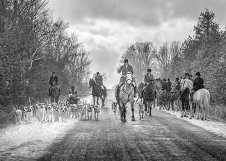 Foxhunting 