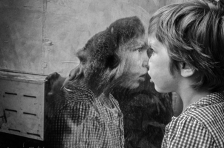 Two faces