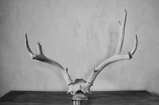 Antlers