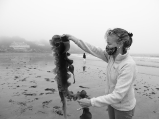 Helga and the Sea Belt, Maine