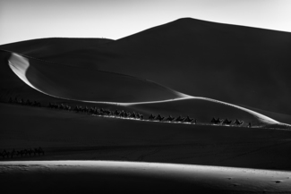 Caravan