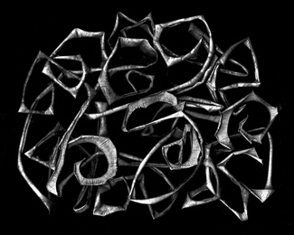 Apple Peelings, 2013