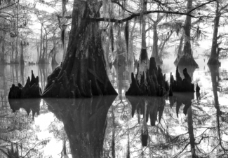 Achafalaya #1