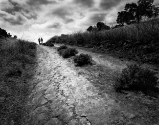 Into the Light
