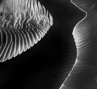 Dune Goddess