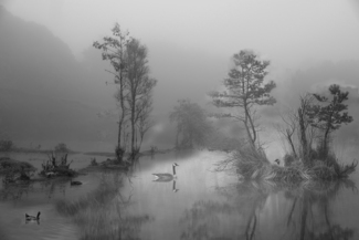 silenzio